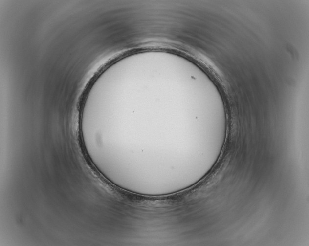 X0000112941376200909211125