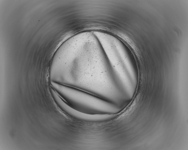 X0000112941377200909211125