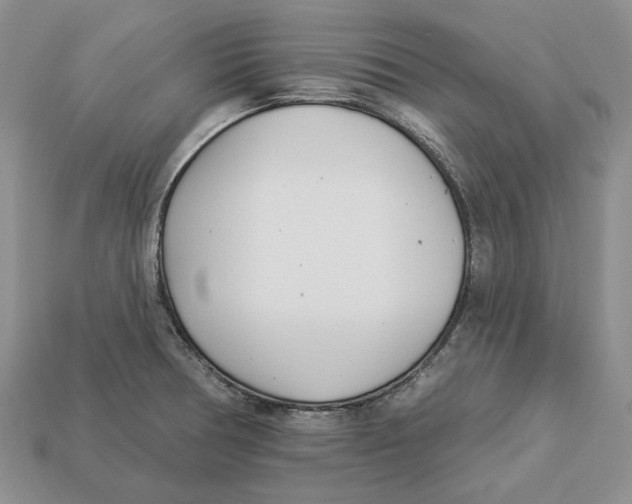 X0000112941378200909211125