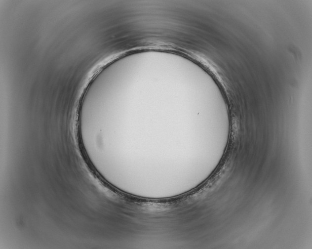X0000112941379200909211125