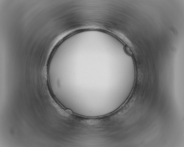 X0000112941380200909211125
