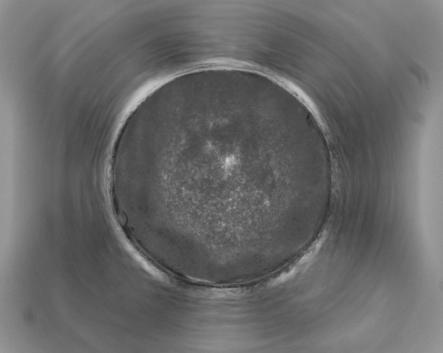 X0000112941381200909211125