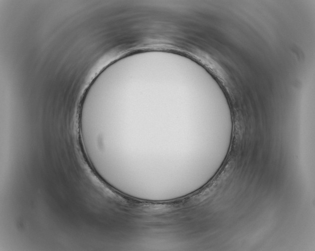 X0000112941382200909211125