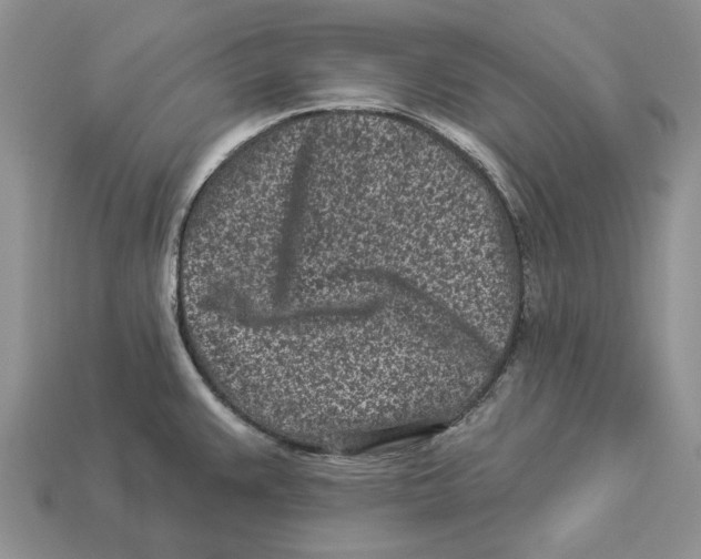 X0000112941383200909211125