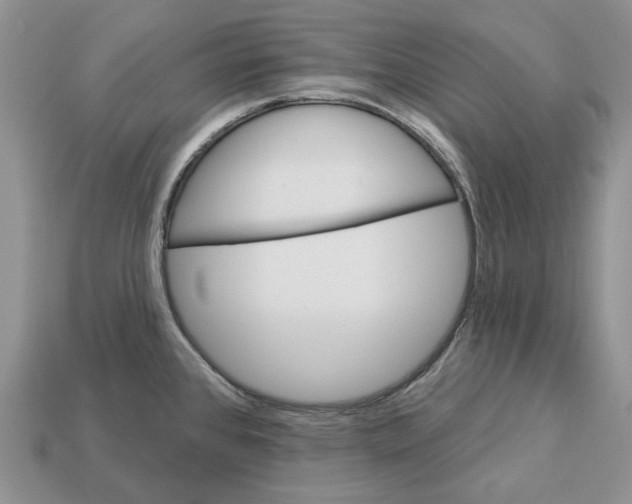 X0000112941384200909211125