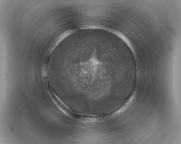 X0000112941385200909211125