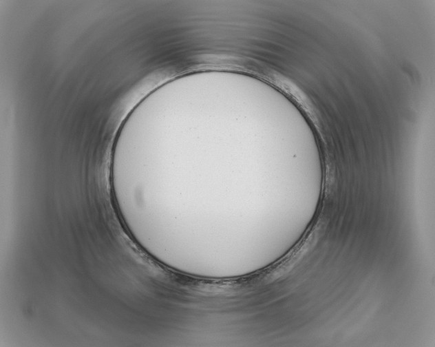 X0000112941386200909211125