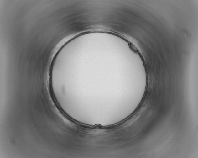 X0000112941387200909211125