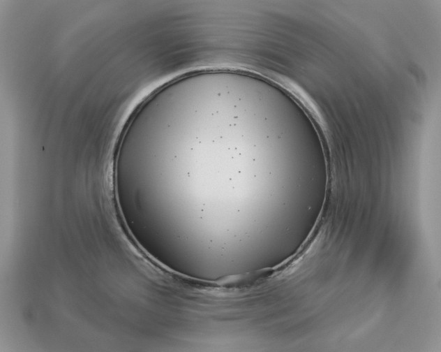 X0000112941388200909211125