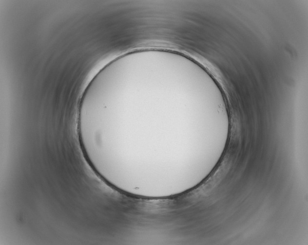 X0000112941390200909211125