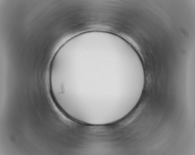 X0000112941391200909211125