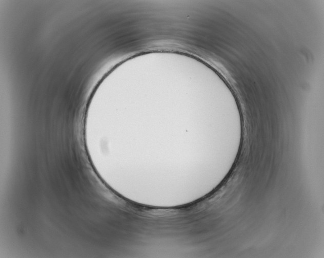 X0000112941392200909211125