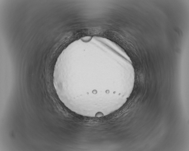 X0000112941393200909211124