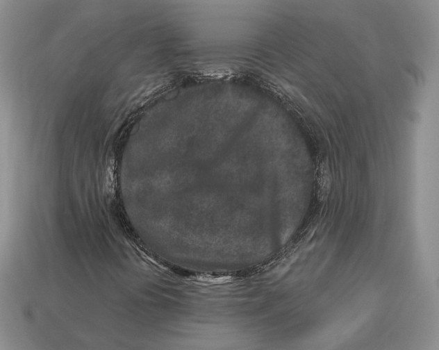 X0000112941394200909211124