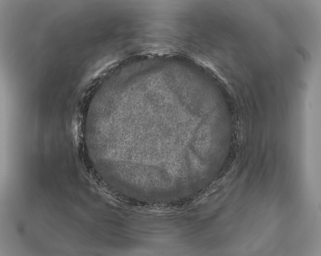X0000112941399200909211124