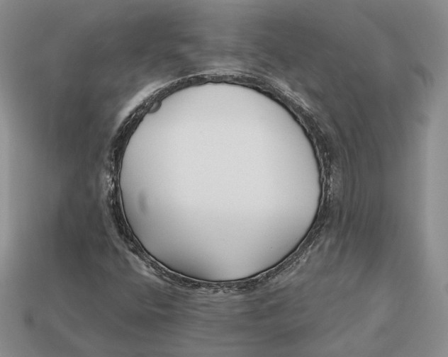 X0000112941400200909211124