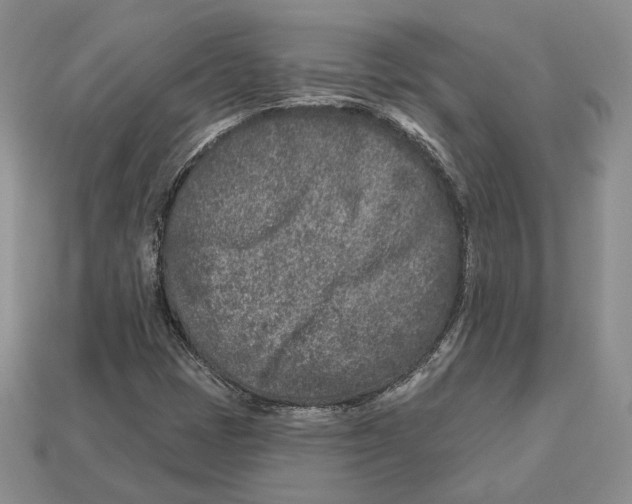 X0000112941401200909211124