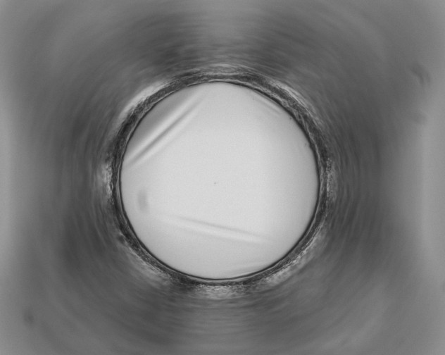 X0000112941402200909211124