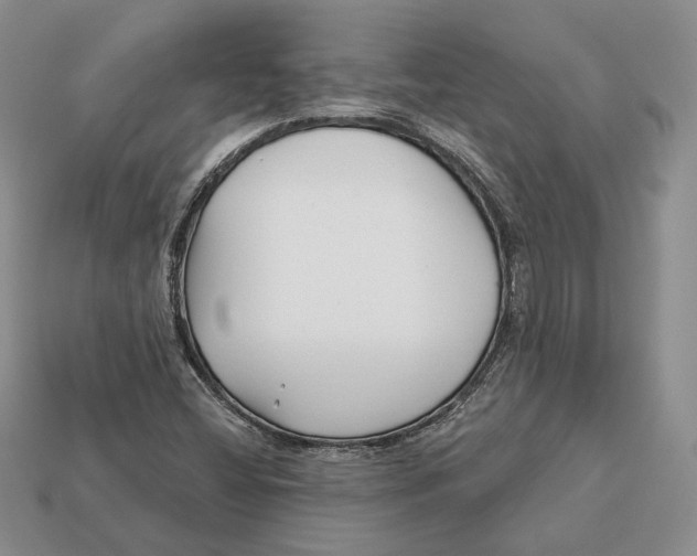 X0000112941404200909211124