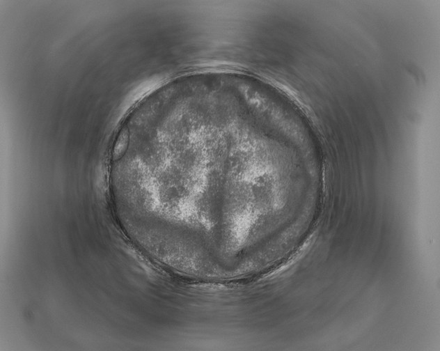 X0000112941405200909211124