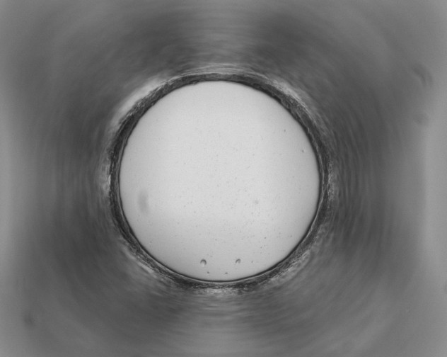 X0000112941406200909211124