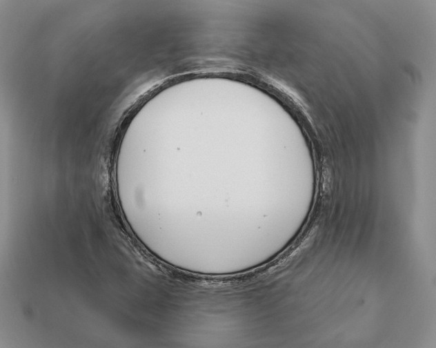 X0000112941407200909211124
