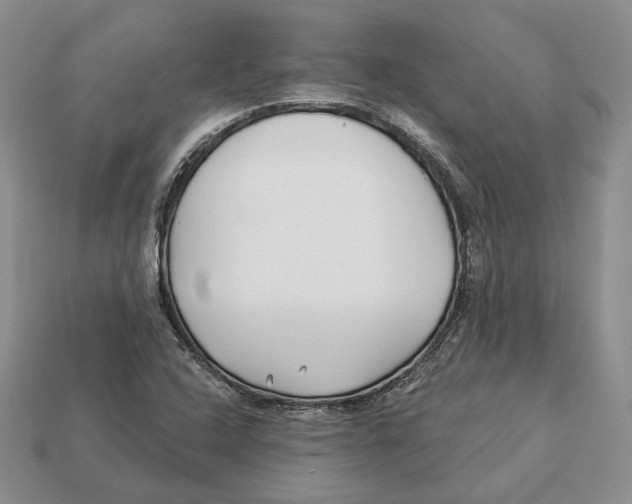 X0000112941408200909211124