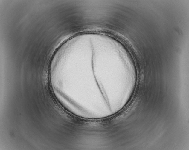 X0000112941409200909211124