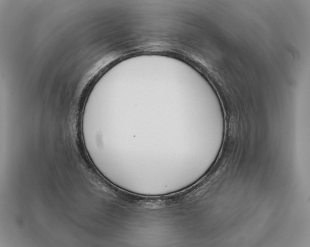 X0000112941410200909211124