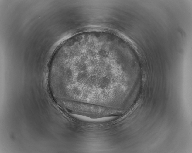 X0000112941411200909211124