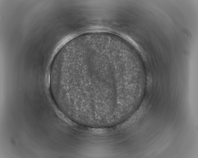 X0000112941413200909211124