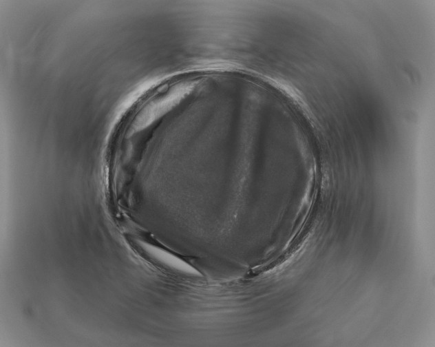 X0000112941414200909211124