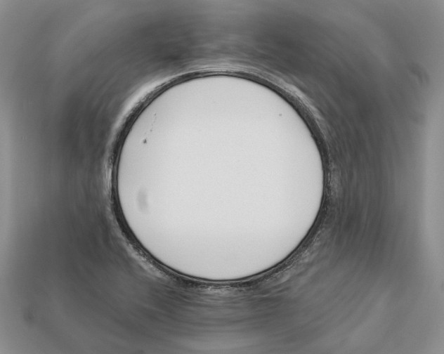 X0000112941416200909211124