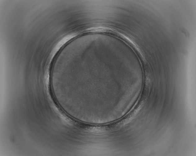 X0000112941418200909211124