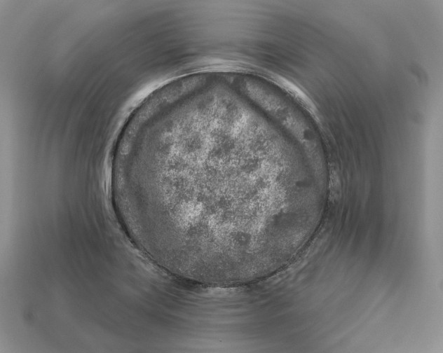 X0000112941419200909211124