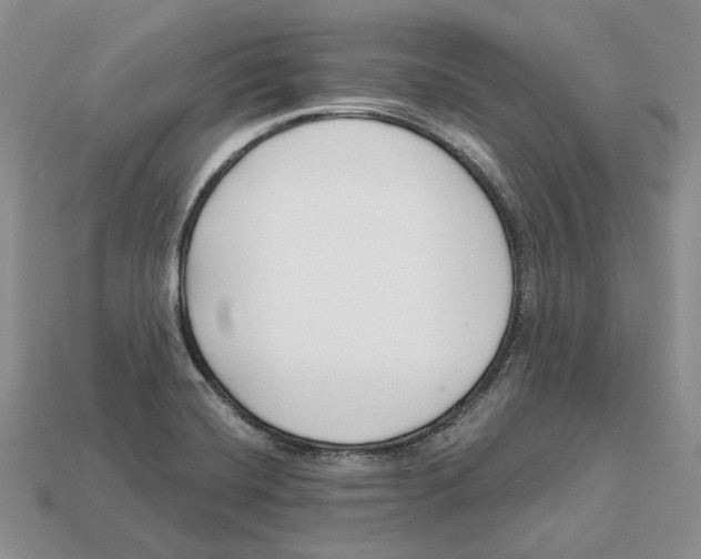 X0000112941420200909211124