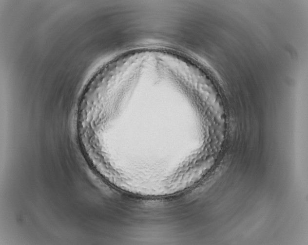 X0000112941421200909211124