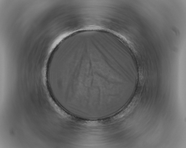 X0000112941422200909211124