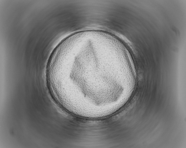 X0000112941423200909211124