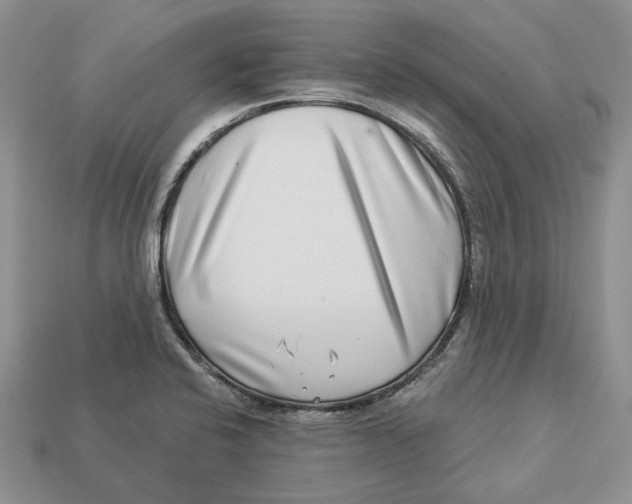 X0000112941424200909211124
