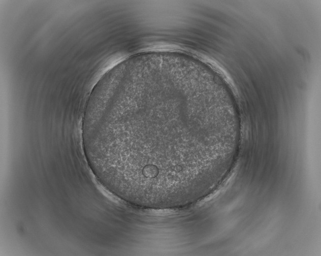 X0000112941425200909211124
