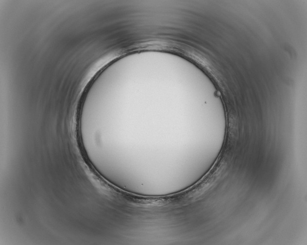 X0000112941426200909211124