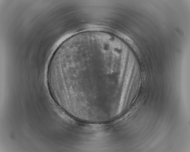 X0000112941427200909211124