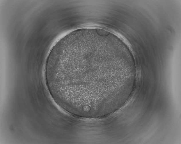 X0000112941429200909211124