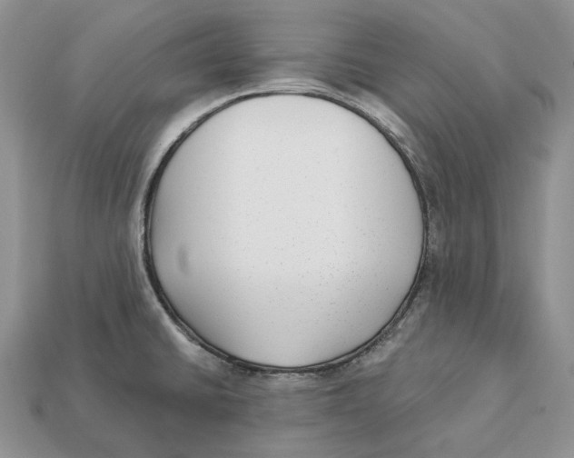 X0000112941430200909211124