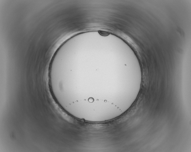 X0000112941431200909211124