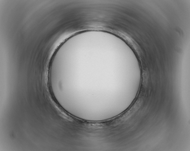 X0000112941432200909211124