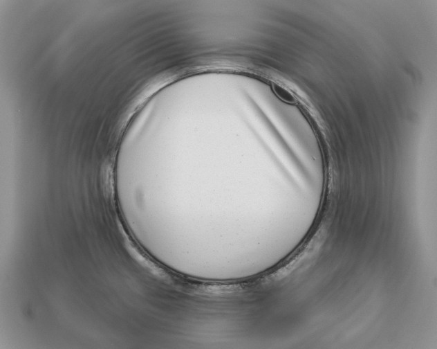 X0000112941433200909211124