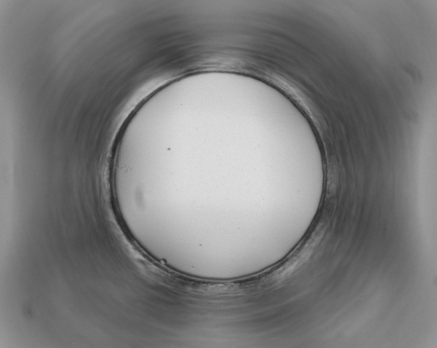 X0000112941434200909211124