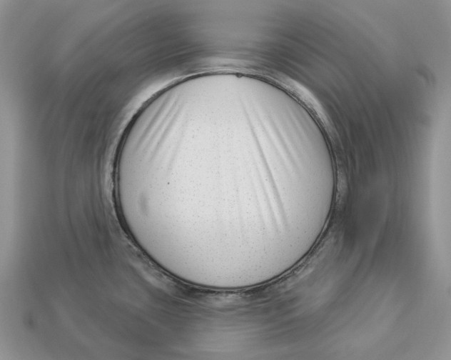 X0000112941435200909211124